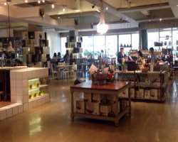 The mall is also known for its European-style dining and special beer places. You can treat yourself to delicious snacks and beer at the mall.